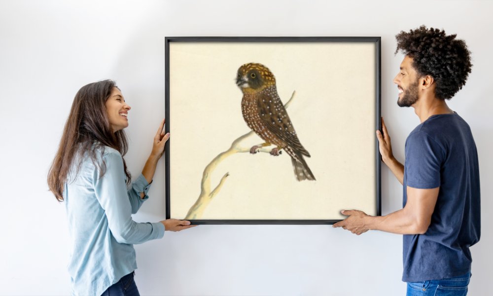 The Sydney Bird Painter