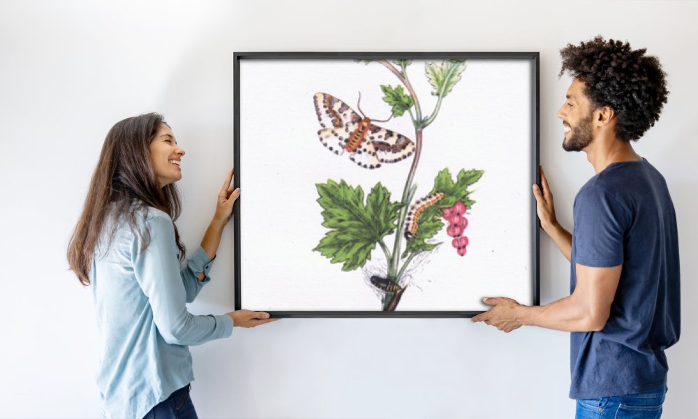 Edward after Donovan