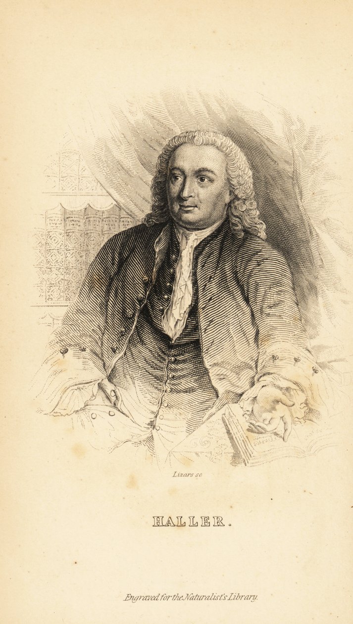 Albrecht von Haller, İsviçreli anatomist, doğa bilimci ve şair, 1708-1777 by Unknown