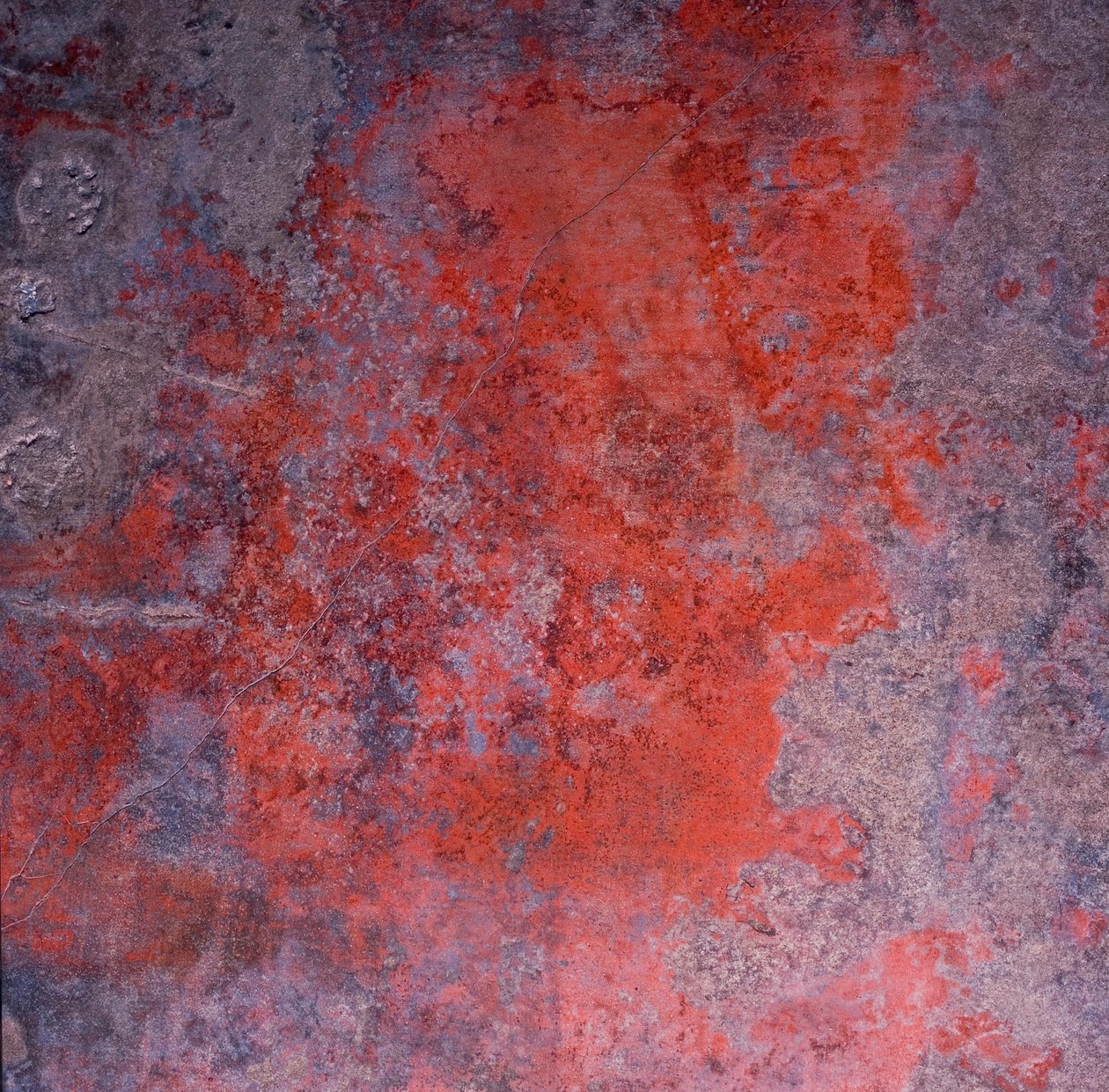 Bir fresk detayı by Unknown