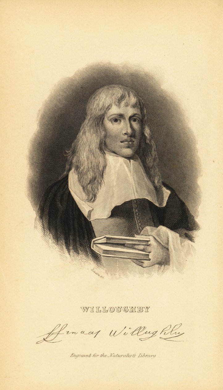 Francis Willughby veya Willoughby, İngiliz kuşbilimci ve ihtiyolog, 1635-1672 by Unknown
