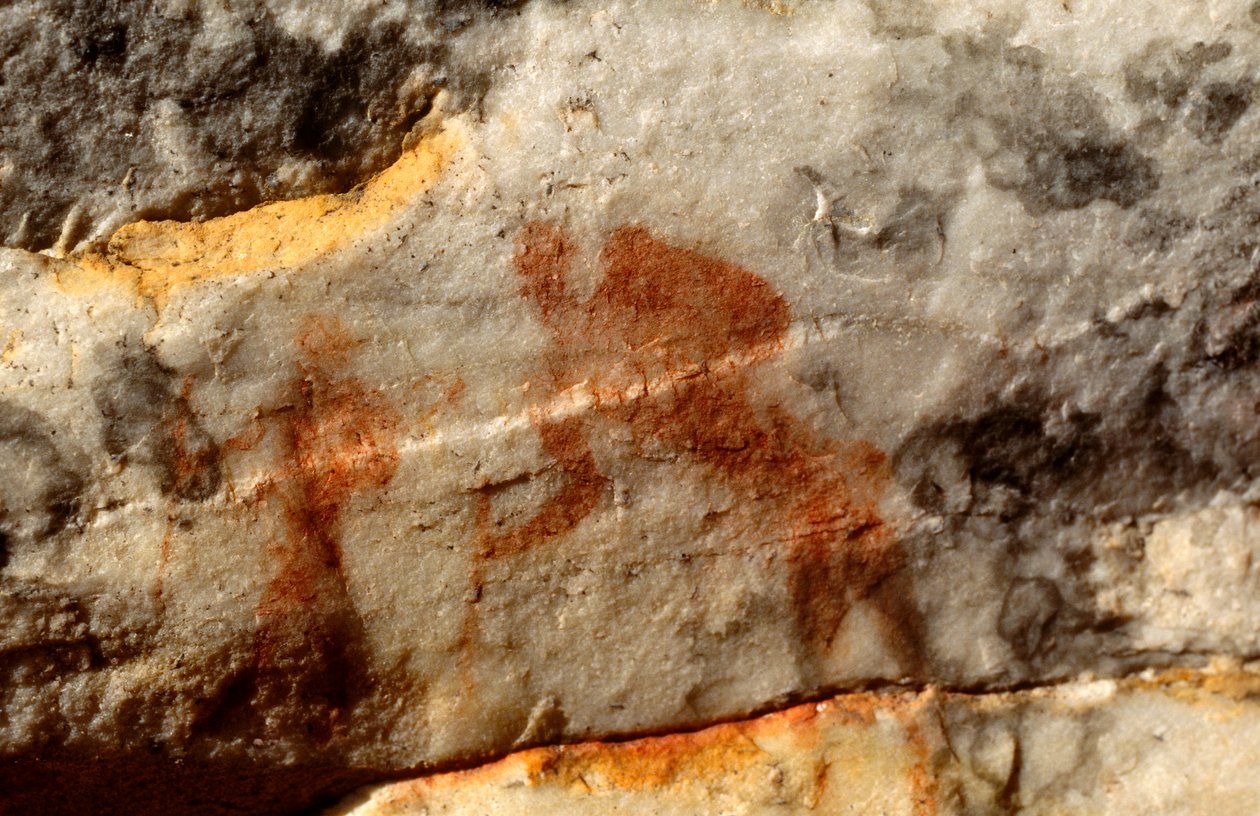 San (Bushmen) kaya resimleri, Cedarburg, Western Cape by Unknown