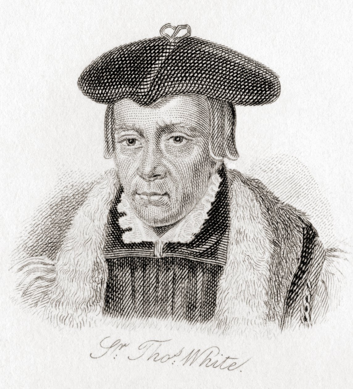 Sör Thomas Beyaz, 1492? 1567. by Unknown