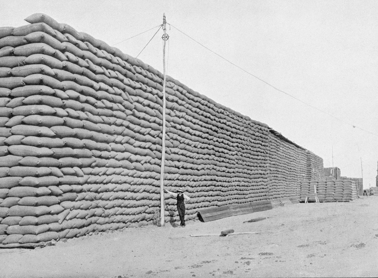 125.000 torba buğday sevkiyatı bekliyor, Güney Avustralya, c.1900, 
