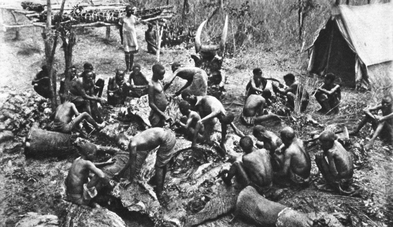 Rodoslu yerli birliklerimiz için et tayınları için öldürüldü, The Illustrated War News, Eylül 1916 by English Photographer