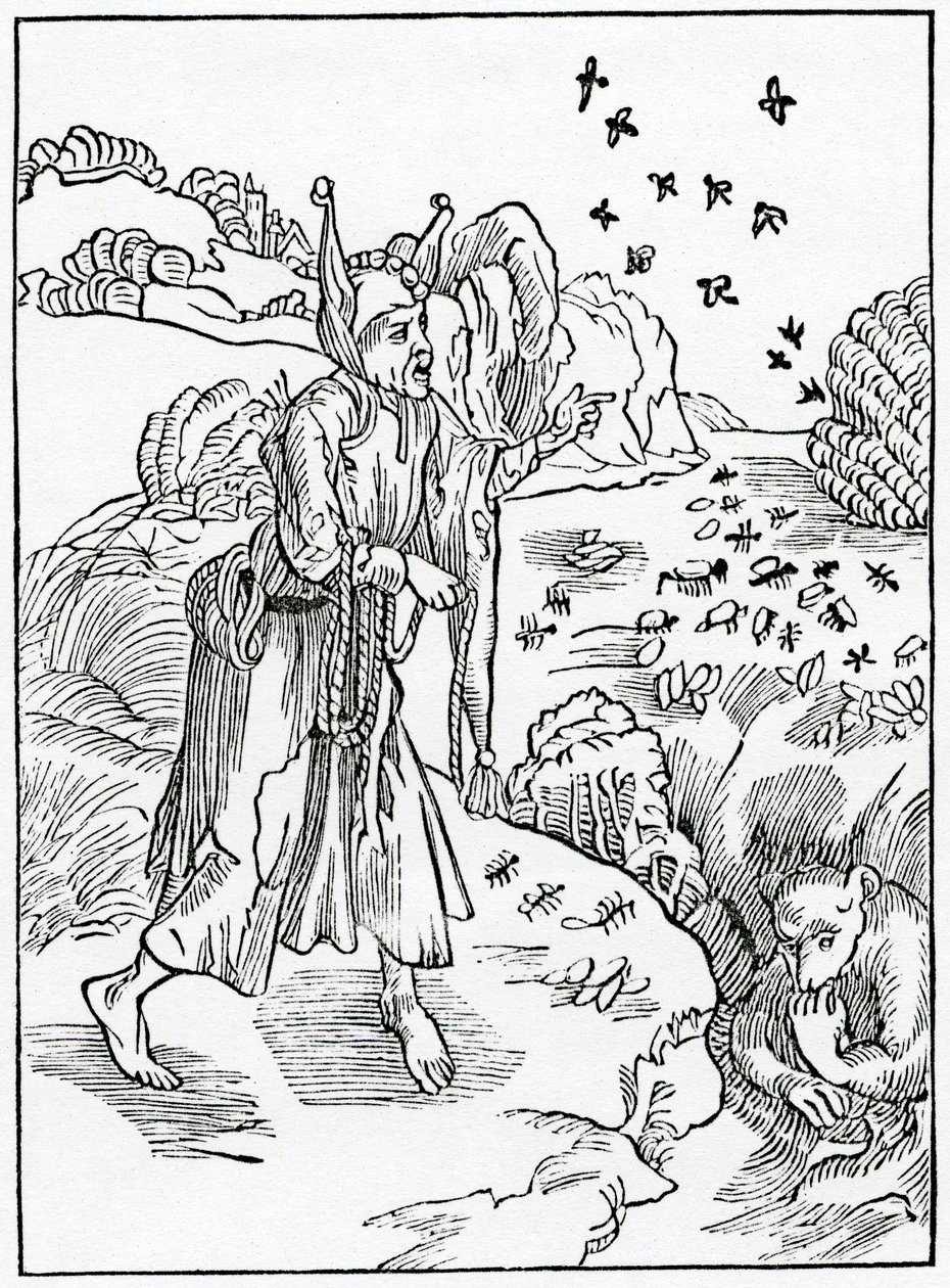Yaz aylarında wynter
