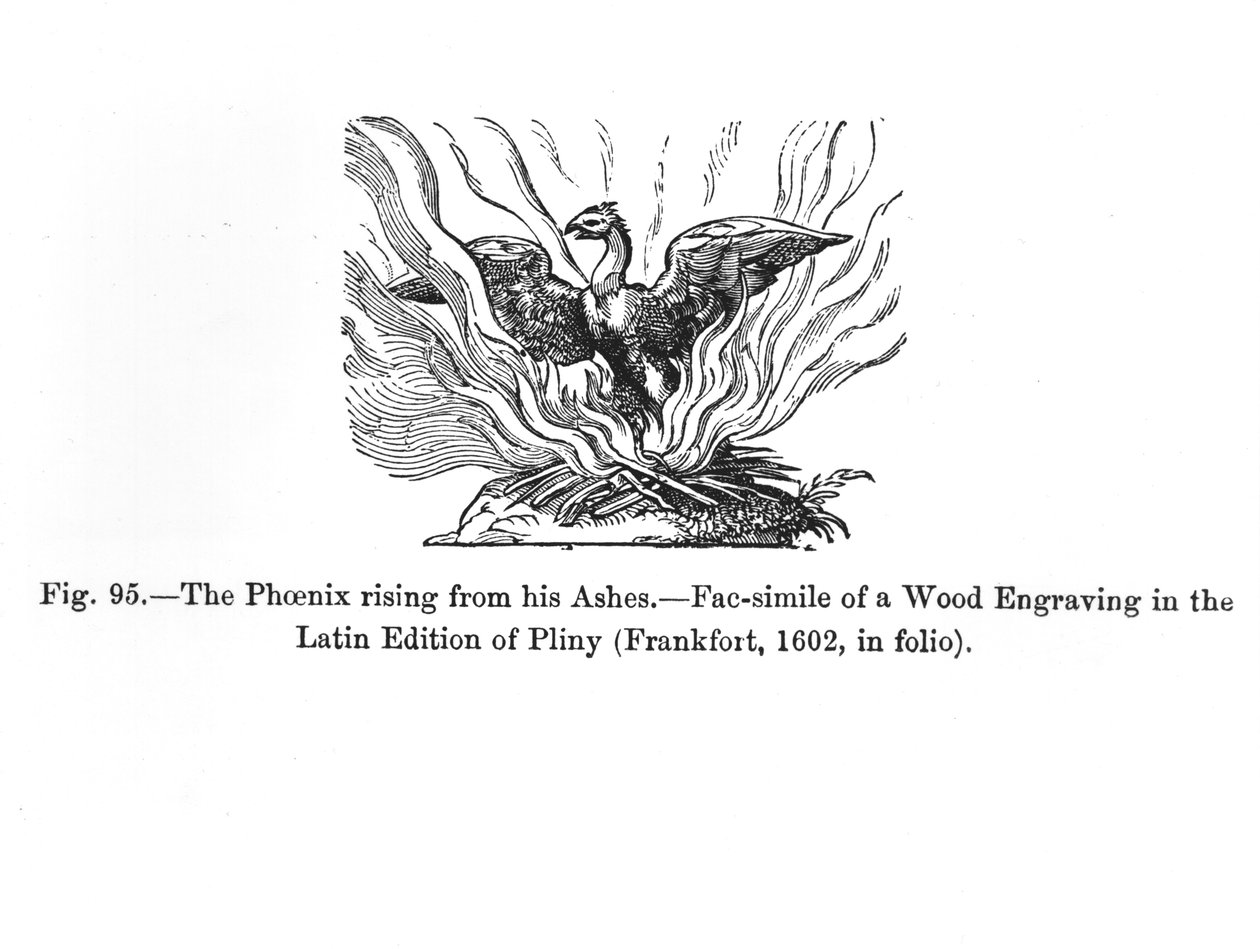 1807