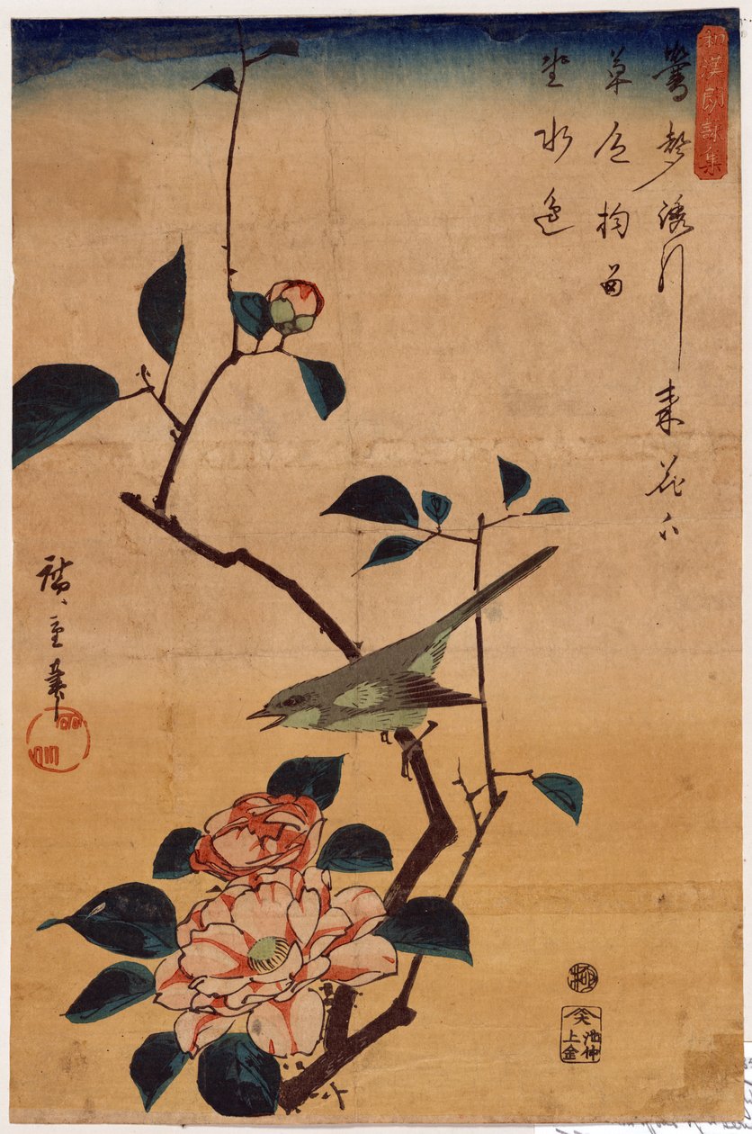 Tsubaki ni Uguisu (Kamelya ve Çalı Ötleğen) by Utagawa Hiroshige
