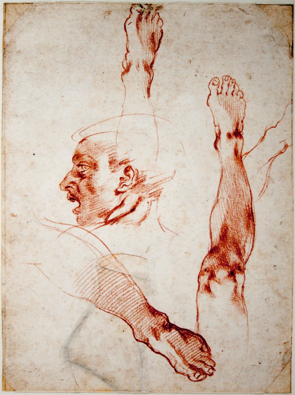 Profildeki Erkek Baş, Uzuvların Çalışmaları by Michelangelo Buonarroti