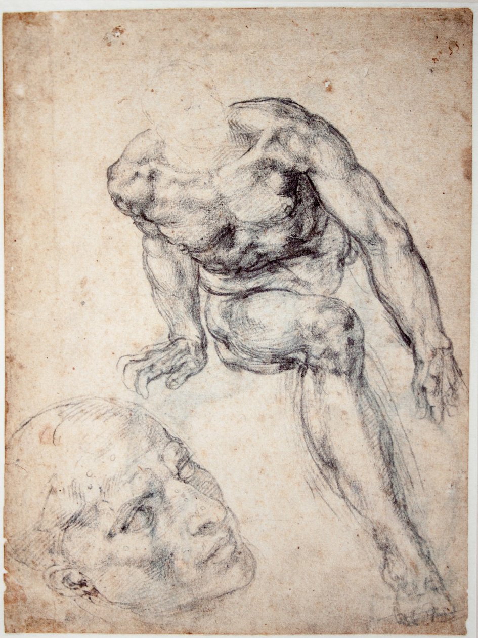 Erkek Çıplak Çalışması, Başının Ayrı Çalışması by Michelangelo Buonarroti
