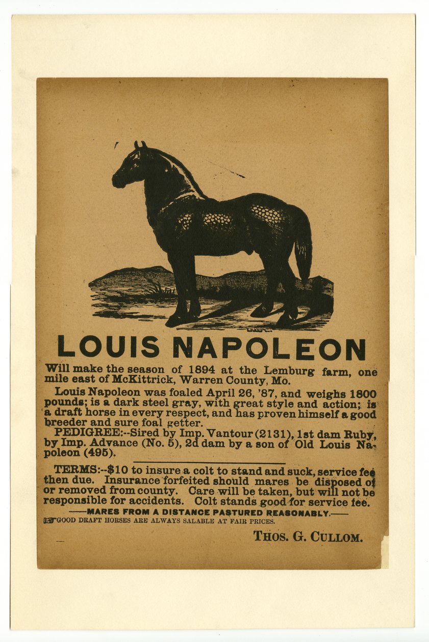 Broadside reklam taslak atı Louis Napoleon hizmet için, 1894 by Unknown