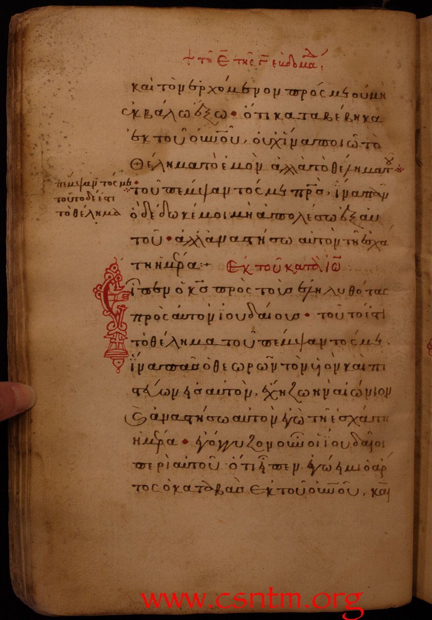 Folio 23 verso by Unknown