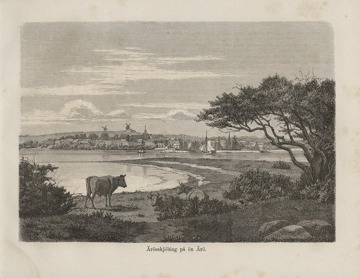 Bilinmeyen yazar tarafından Nordiska taflor kitabından alınan ve Albert Bonnier tarafından yayınlanan illüstrasyon (bkz., 1870) by Unknown