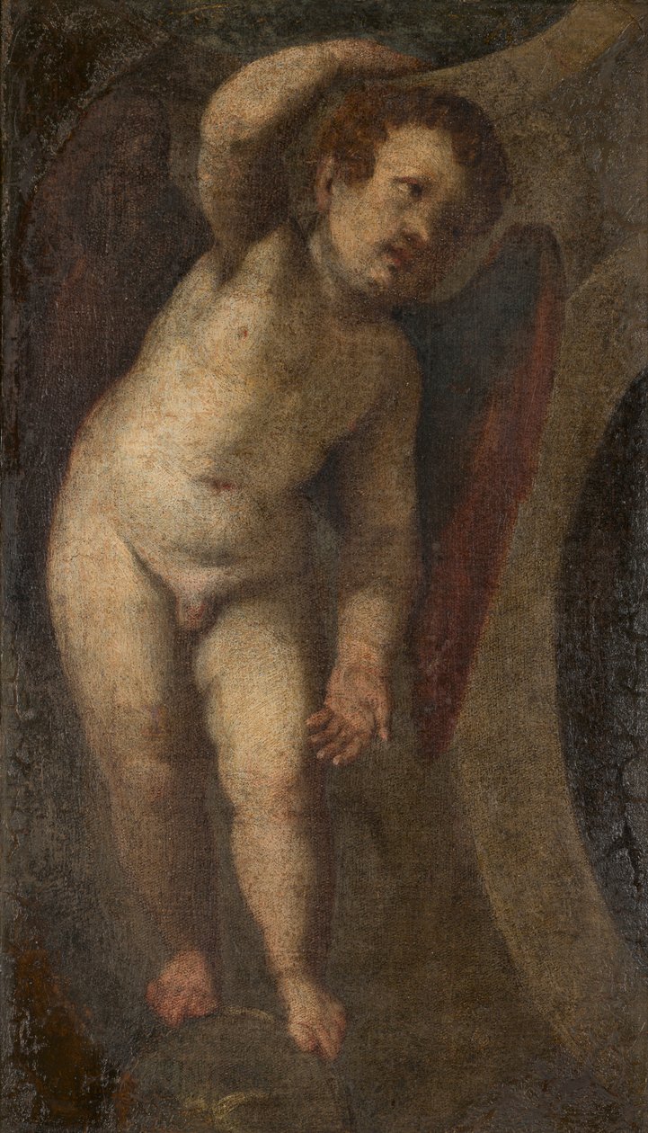 Bir Daimi Putto, c.1548-88 (tuval üzerine yağlı boya) by Veronese