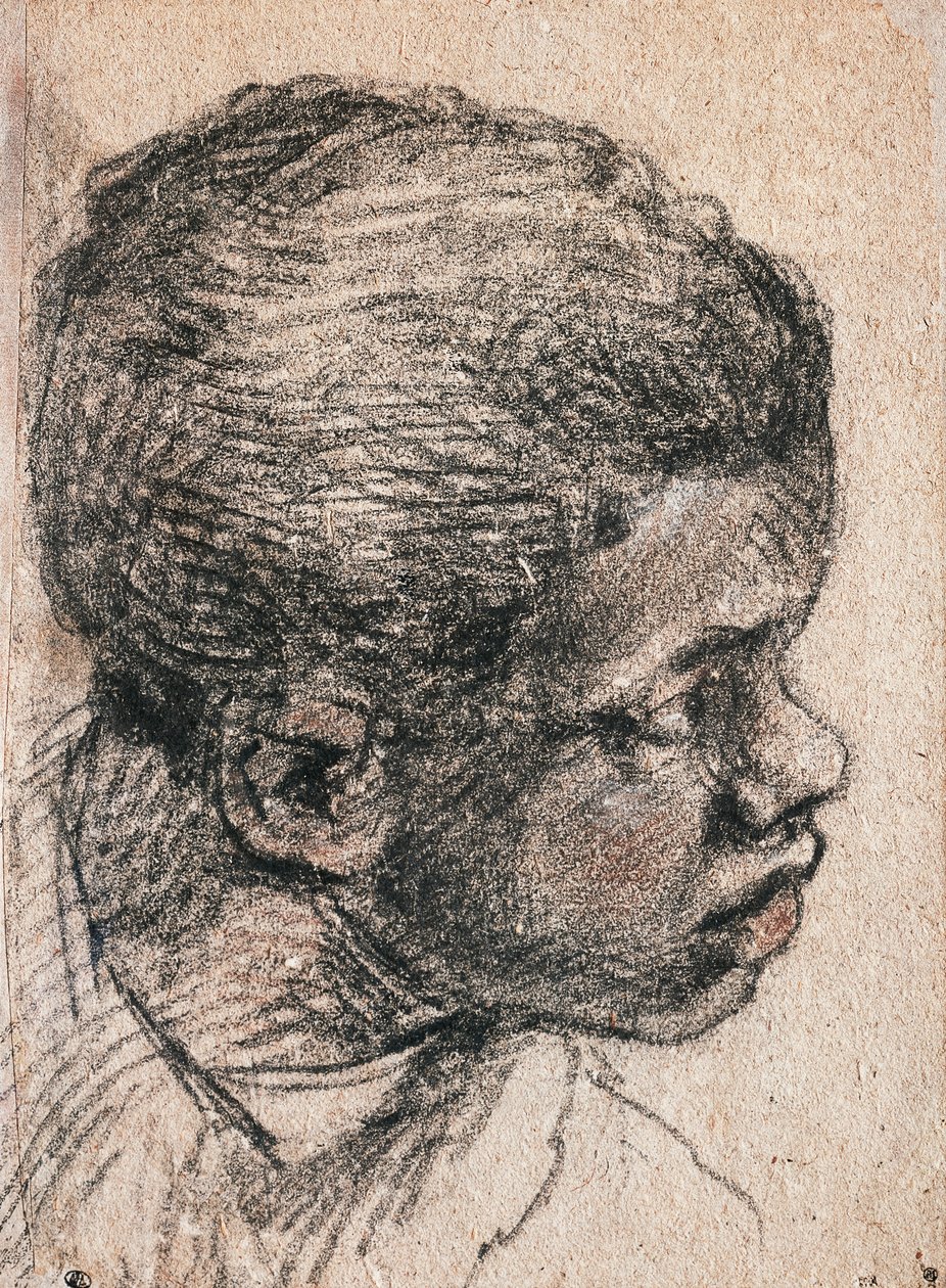 Zenci çocuğun başı, Veronese (1528-1588) olarak bilinen Paolo Caliari, çizim by Veronese