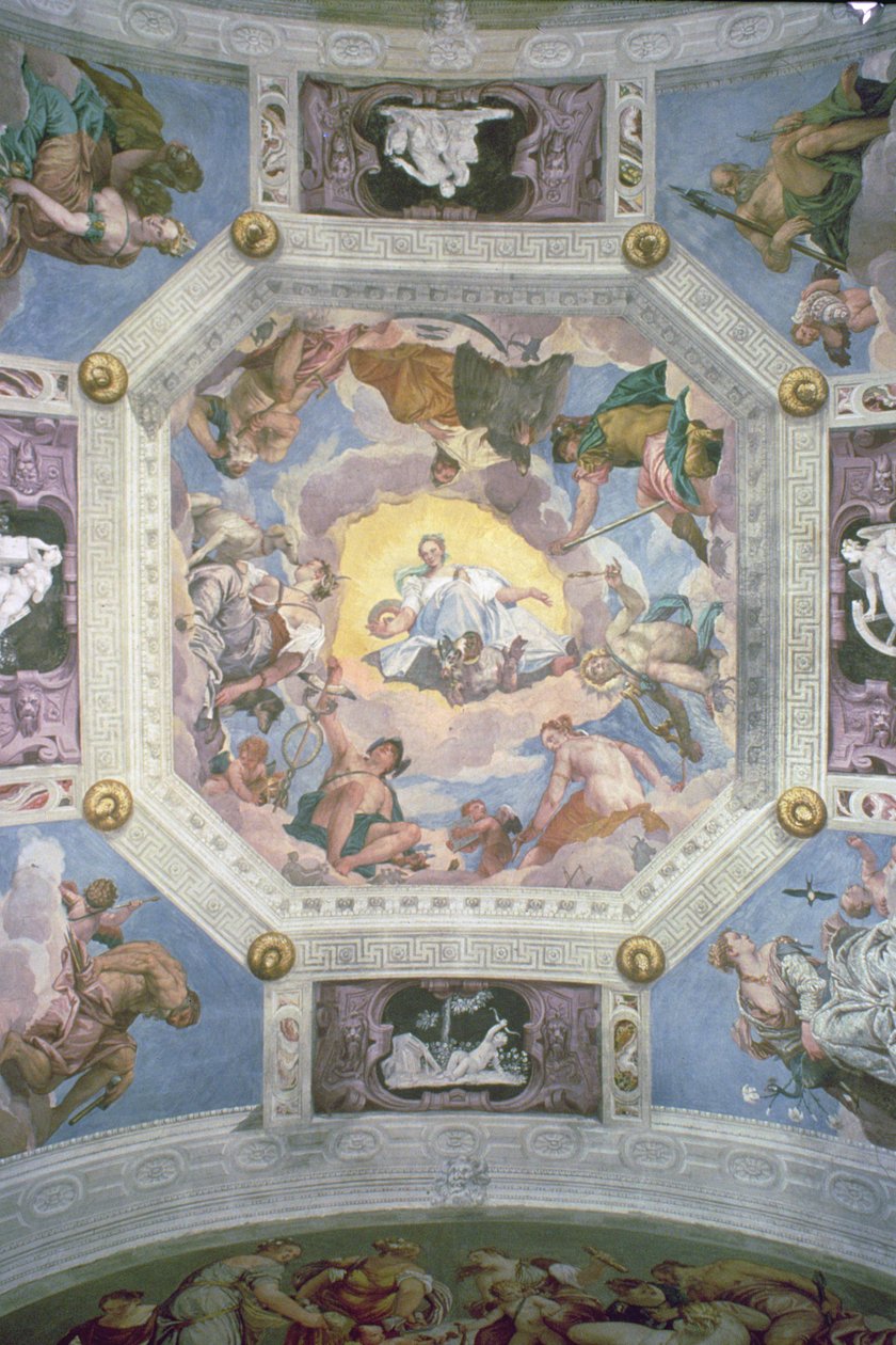 Sala di Olimpo