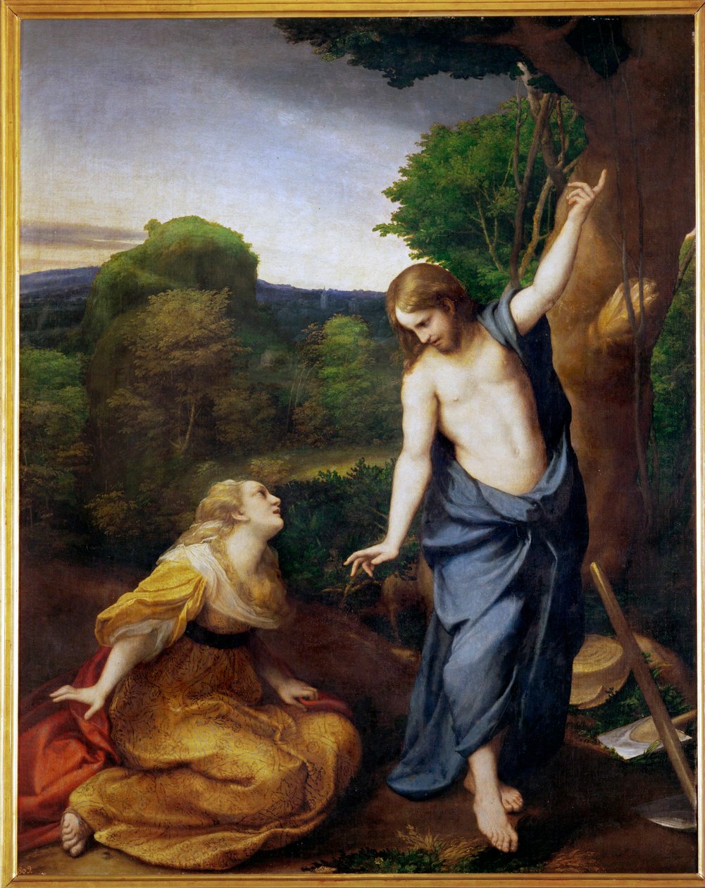  by (c.1489-1534) Correggio