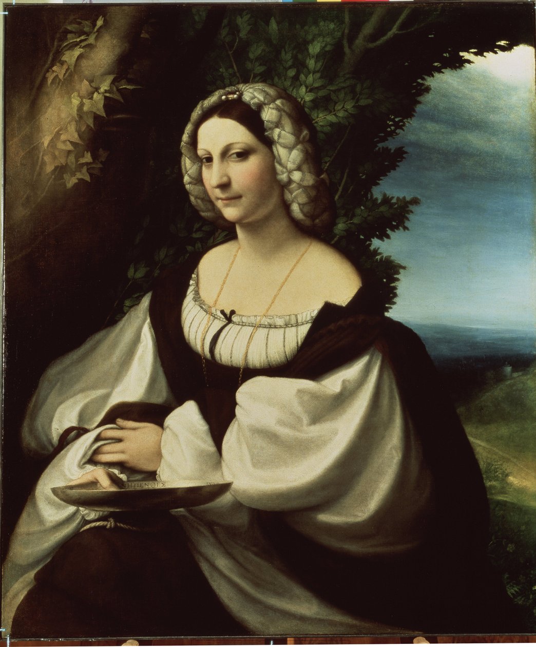 ""Bir bayanın portresi" (Bir bayanın portresi) Correggio şehrinin kişilikleri olan şair Ginevra Rangone veya Veronica Gambara (1485-1550) olurdu. Antonio Allegri