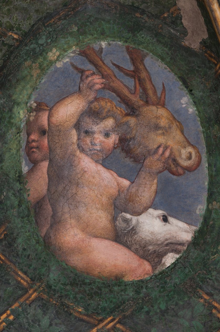 Putti, köpek ve geyik, detay by (c.1489 1534) Correggio