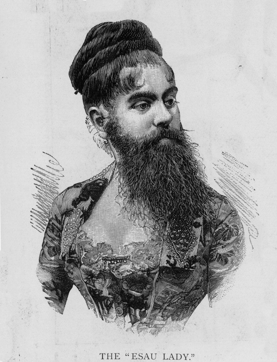 Esau Hanımı olarak bilinen Annie Jones, 1893 by Unknown