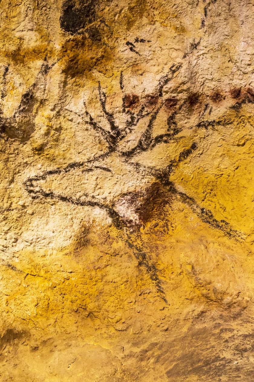 Lascaux mağara resmi, Bordeaux, Fransa by Unknown