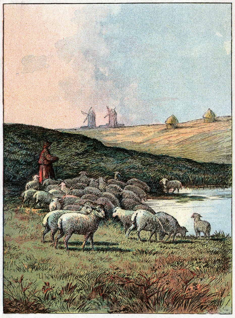 Koyun sürüsü. Koyun sürüsü. by Unknown