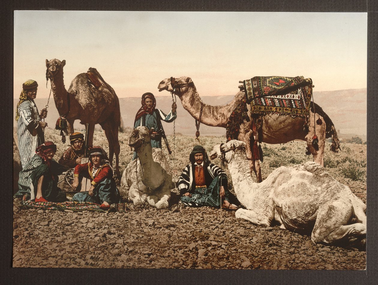 Çölde Deve Treni dinleniyor, bar. 1895 by American Photographer