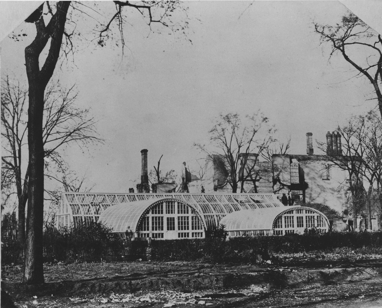 1871 Şikago Yangınından sonra Ezra B. McCaggs konutu ve konservatuarı, 1871 by American Photographer
