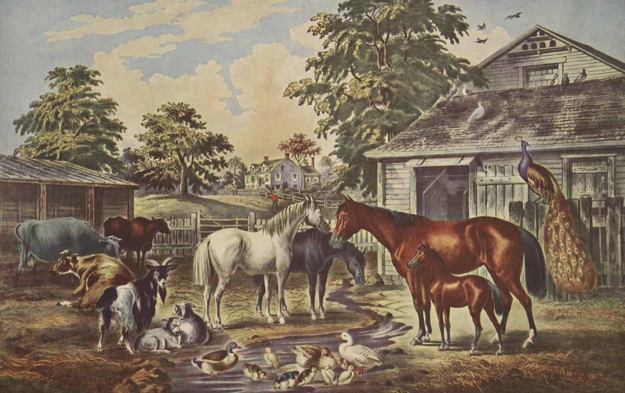 American Farm Yard - Sabah, pub. 1857, Köri & Ives by American School
