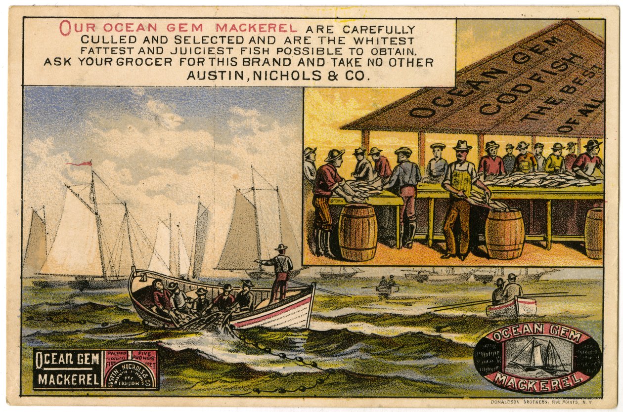 Austin, Nichols & Co. Ocean Gem Uskumru, ticari kart recto., (renkli taş [ticari kart]) by American School
