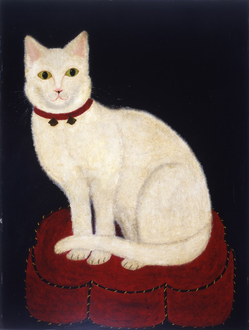 Tinkle, a Cat, 1883 (akademi panosundaki yağ) by American School