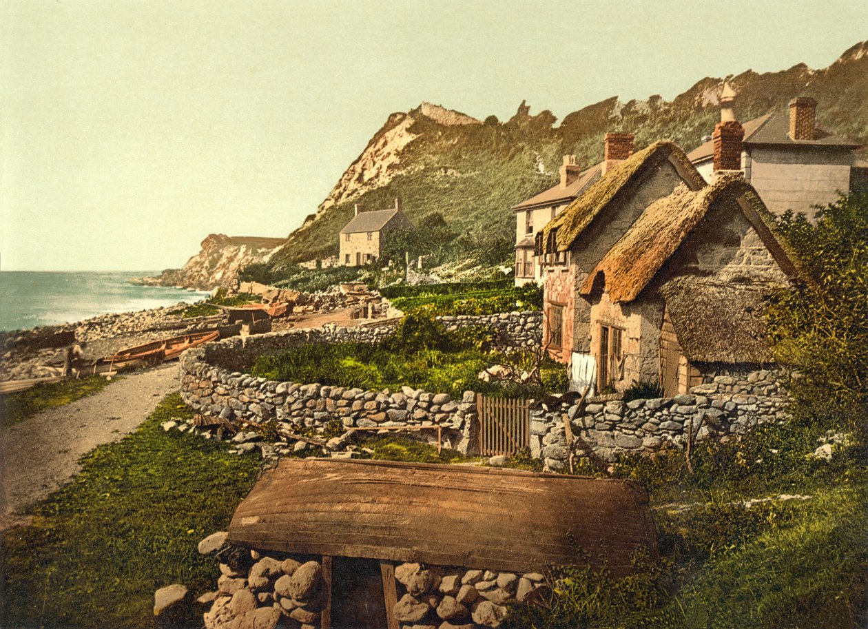 Cliffs, Shanklin, IOW, pub. c.1890 - 1900 (krolitograf) by English Photographer