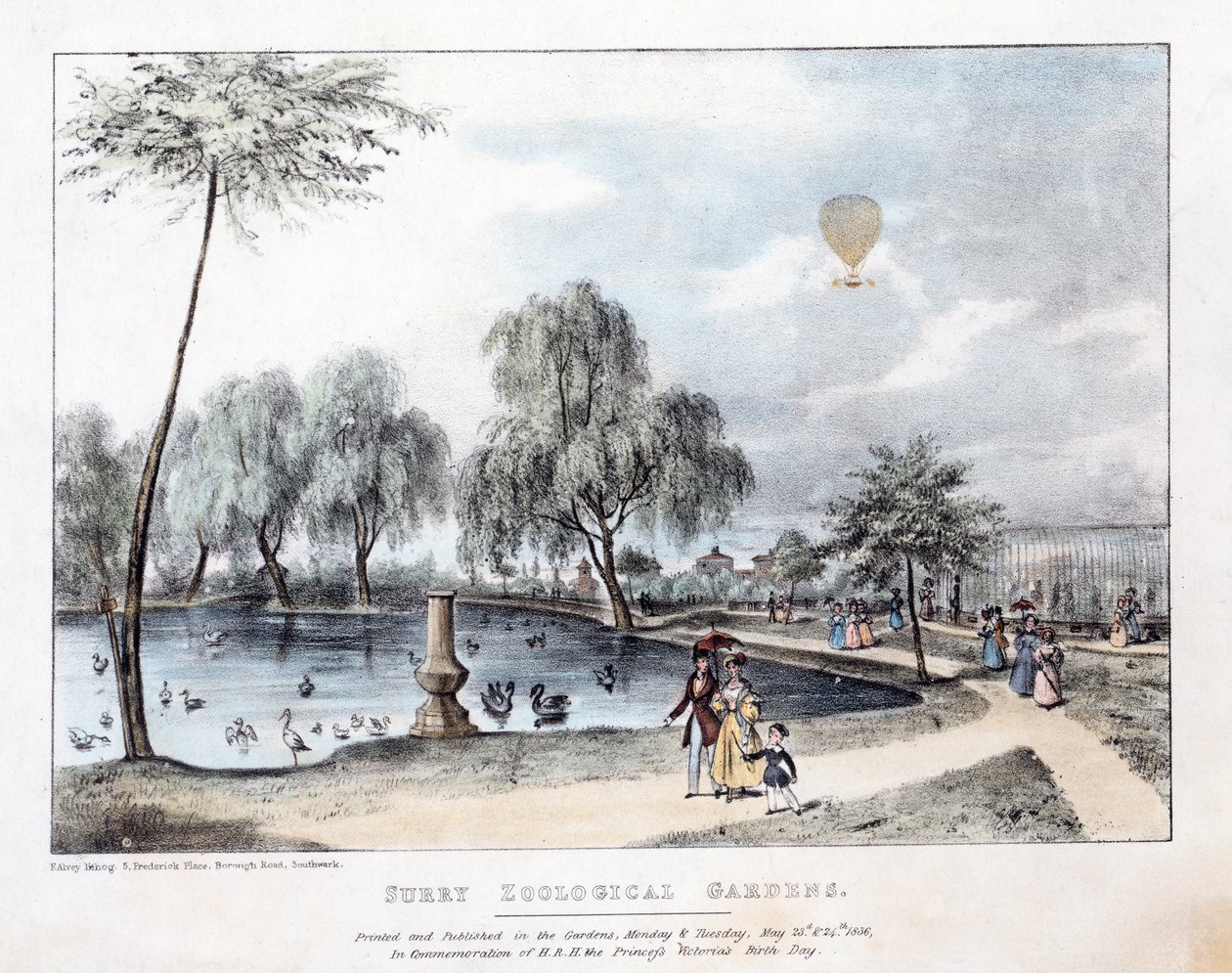 Surrey Hayvanat Bahçeleri. bar. 1836 (el renkli gravür) by English School