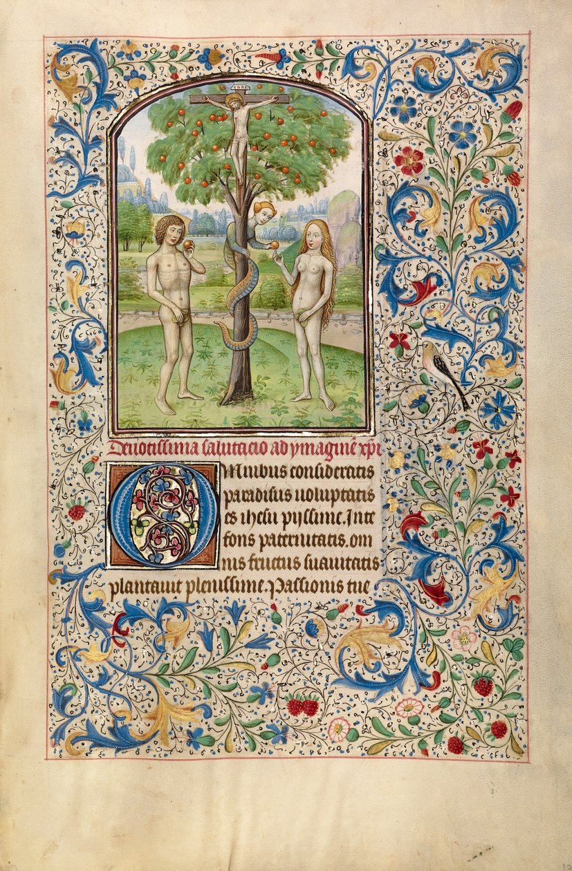 Adem ve Havva Yasak Meyveyi Yeme, 1460 başları (tempera, altın varak ve parşömen üzerine mürekkep) by Flemish School
