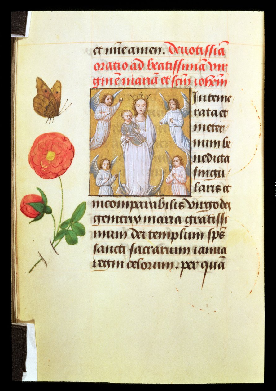 Ayakta Bakire ve Çocuk, Meleklerin Sevdiği, c.1515-20 (parşömen üzerine tempera ve altın boya) by Flemish School