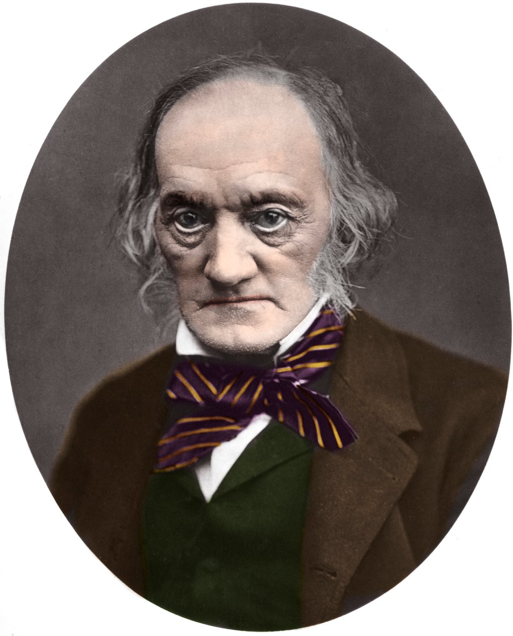 İngiliz paleontolog ve anatomist Sir Richard Owen'ın (1804-1892) portresi by French Photographer