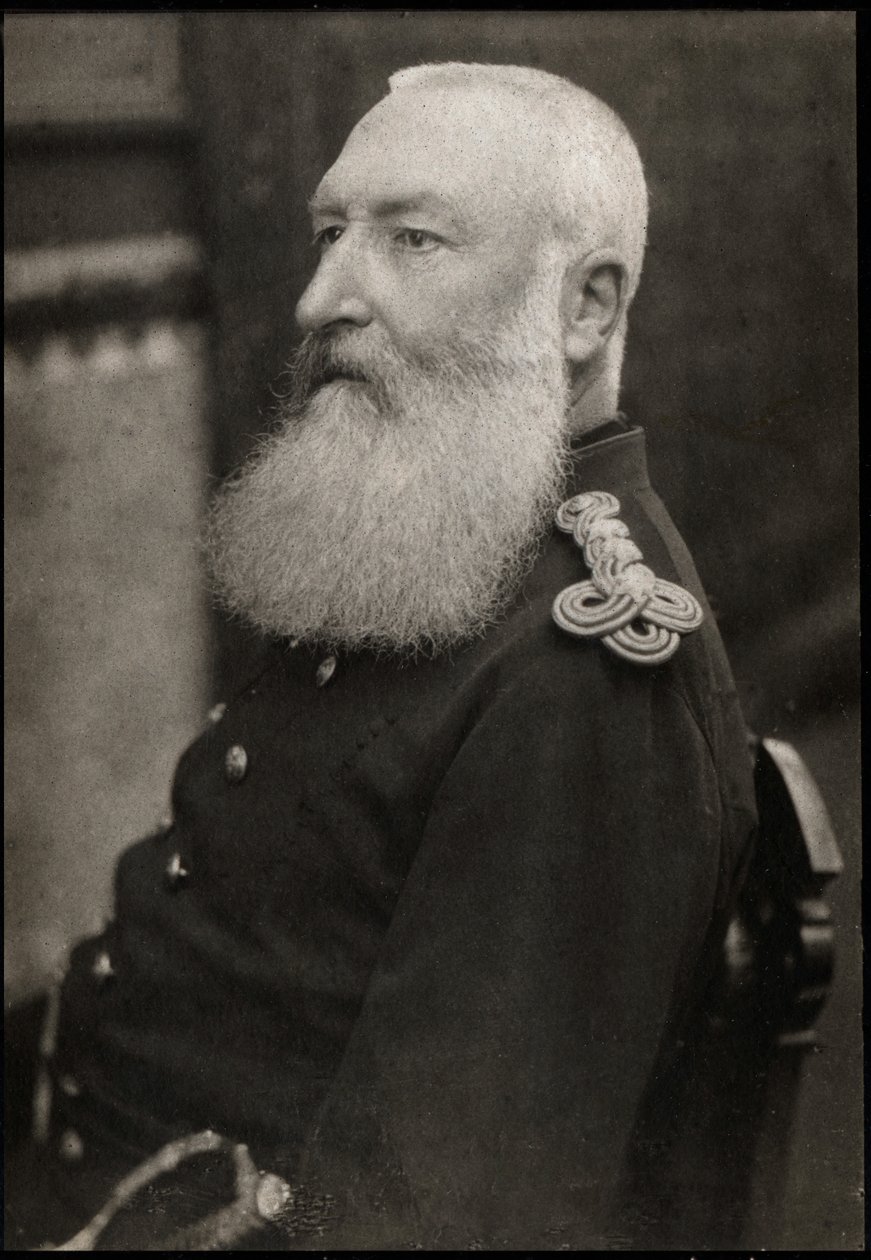 Leopold II (1835-1909), Belçika Kralı