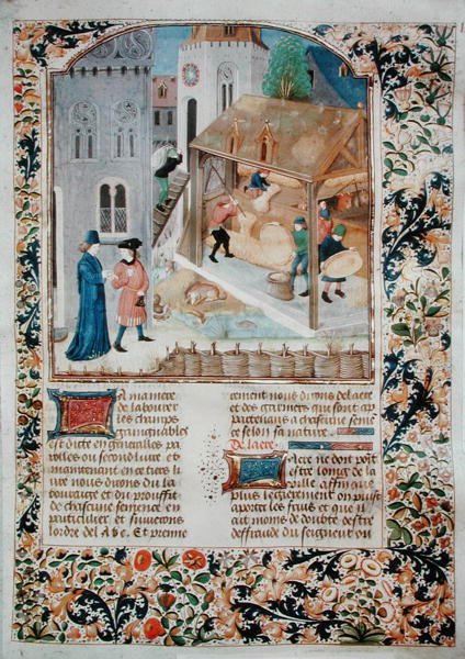 Ms 5064 fol.35r Harman, Livre des Prouffitz Chamestres
