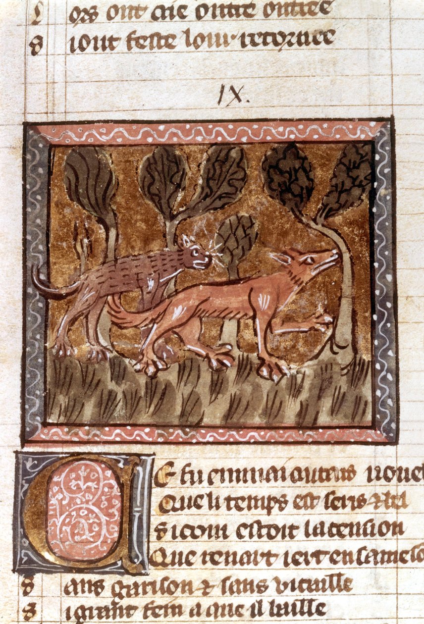 Tilki ve kurt, Roman de Renart (Tilkinin Romanı) başlıklı el yazmasından aydınlatma, c.13. yüzyıl by French School