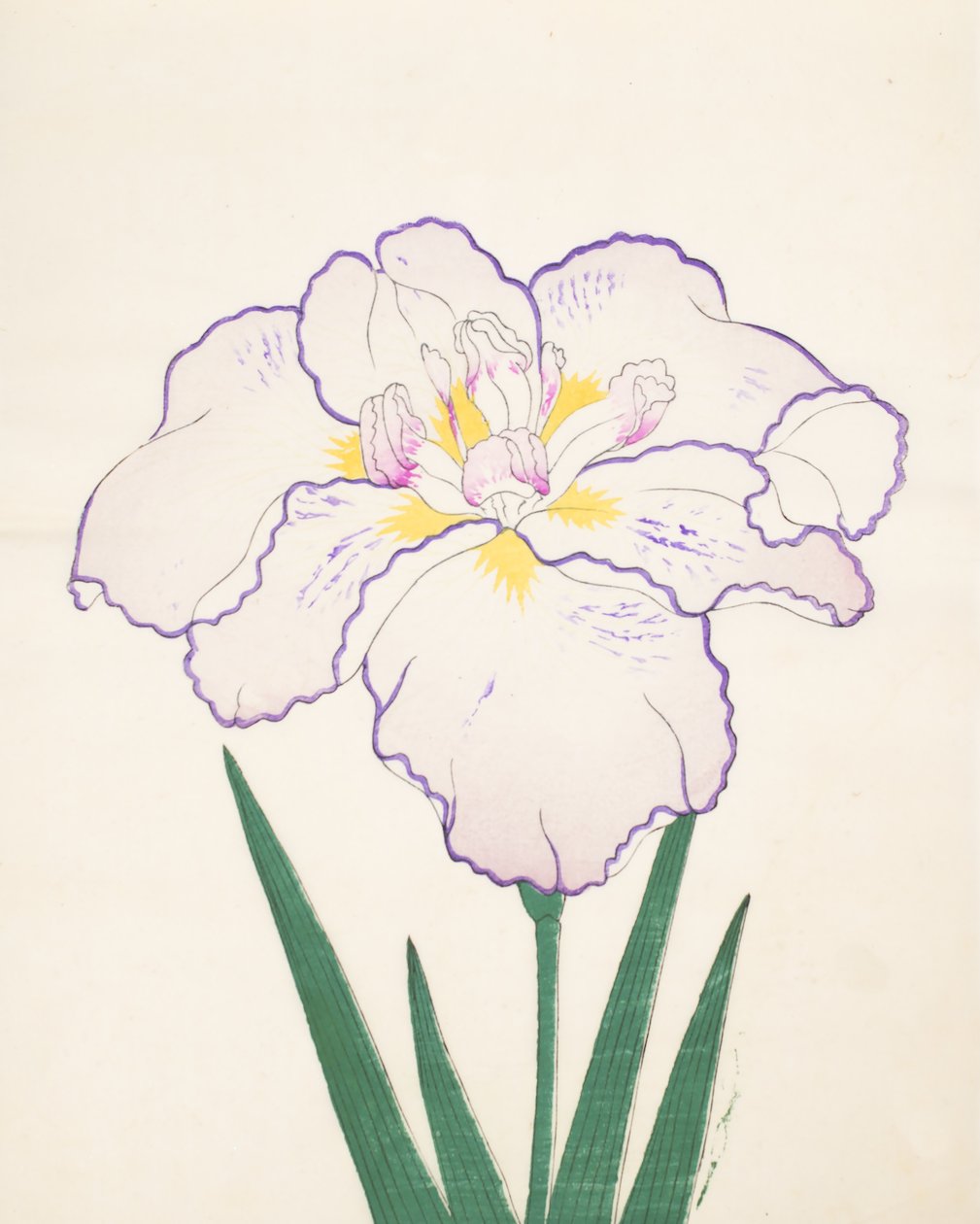 Tanporo, No. 51, 1890 (colour woodblock print) by Japanese School