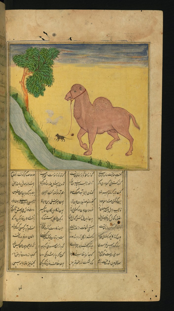 Bir Su Deresinde Devenin Dizginlerini Tutan Bir Fare, Celal al-Din Rumi