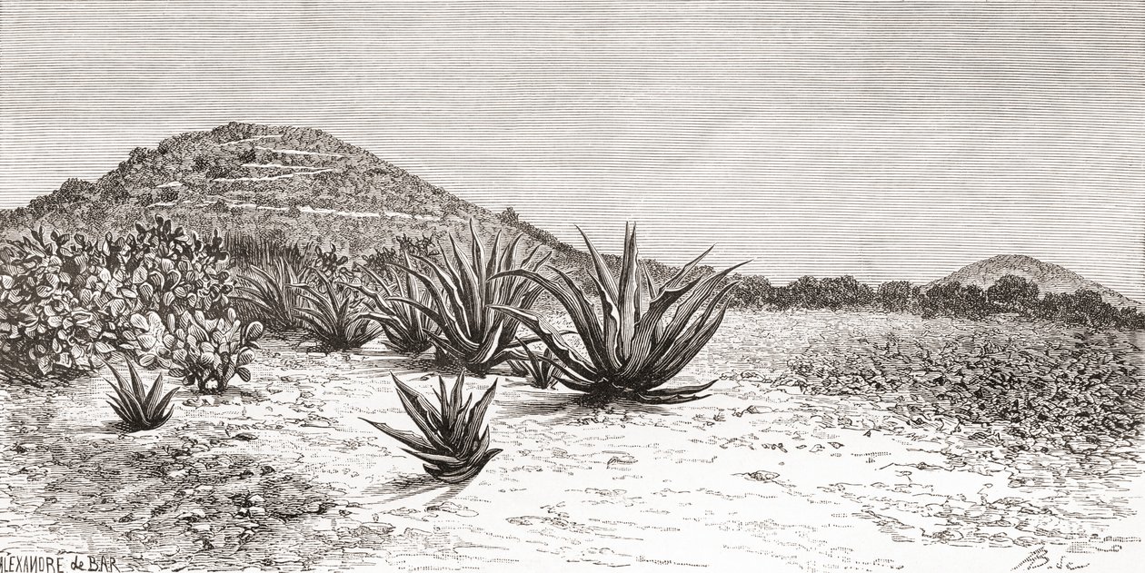 Güneş Piramidi, Teotihuacan, Meksika by Spanish School
