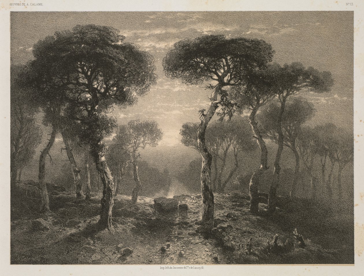 A. Calame