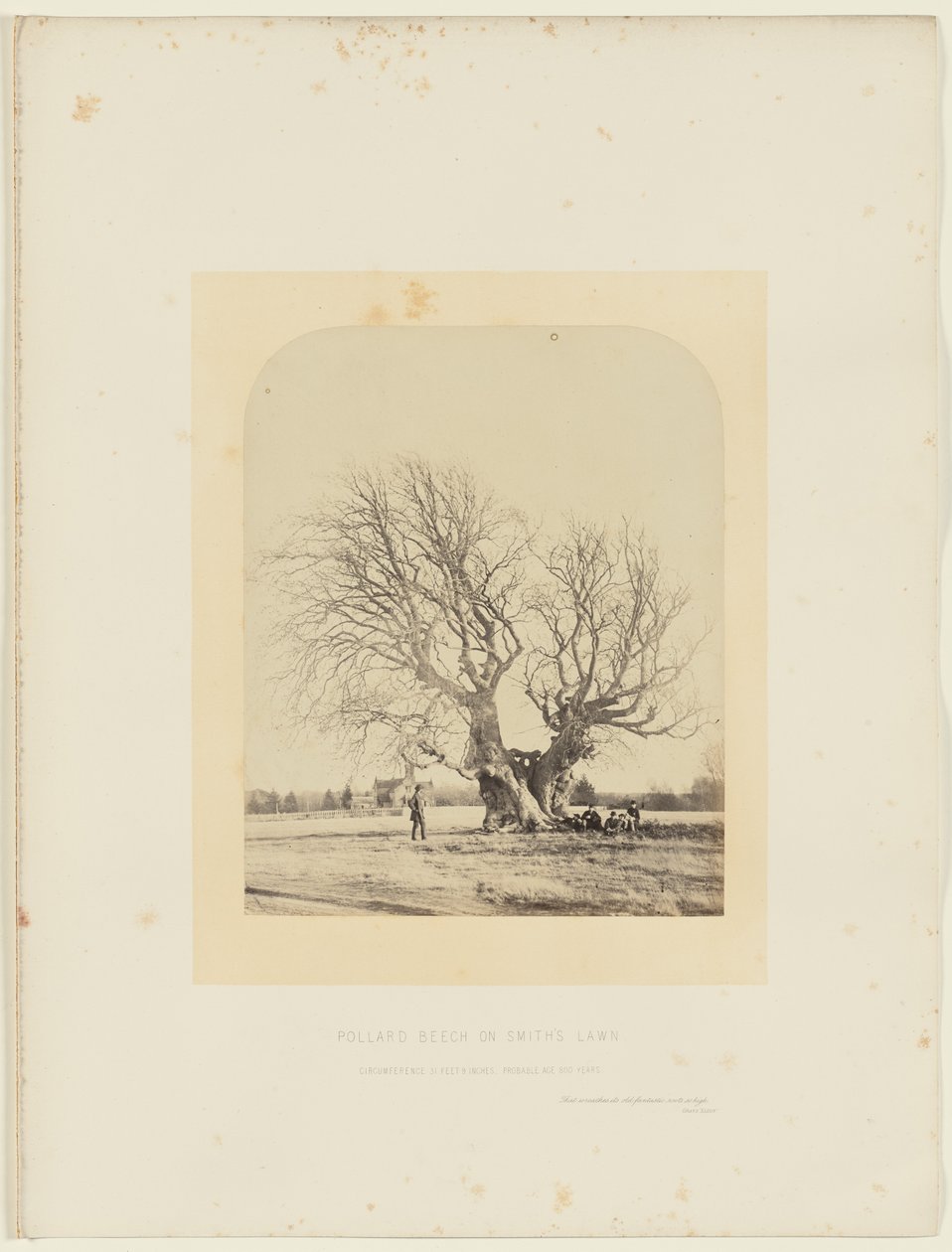  by 14th Earl of Caithness James Sinclair