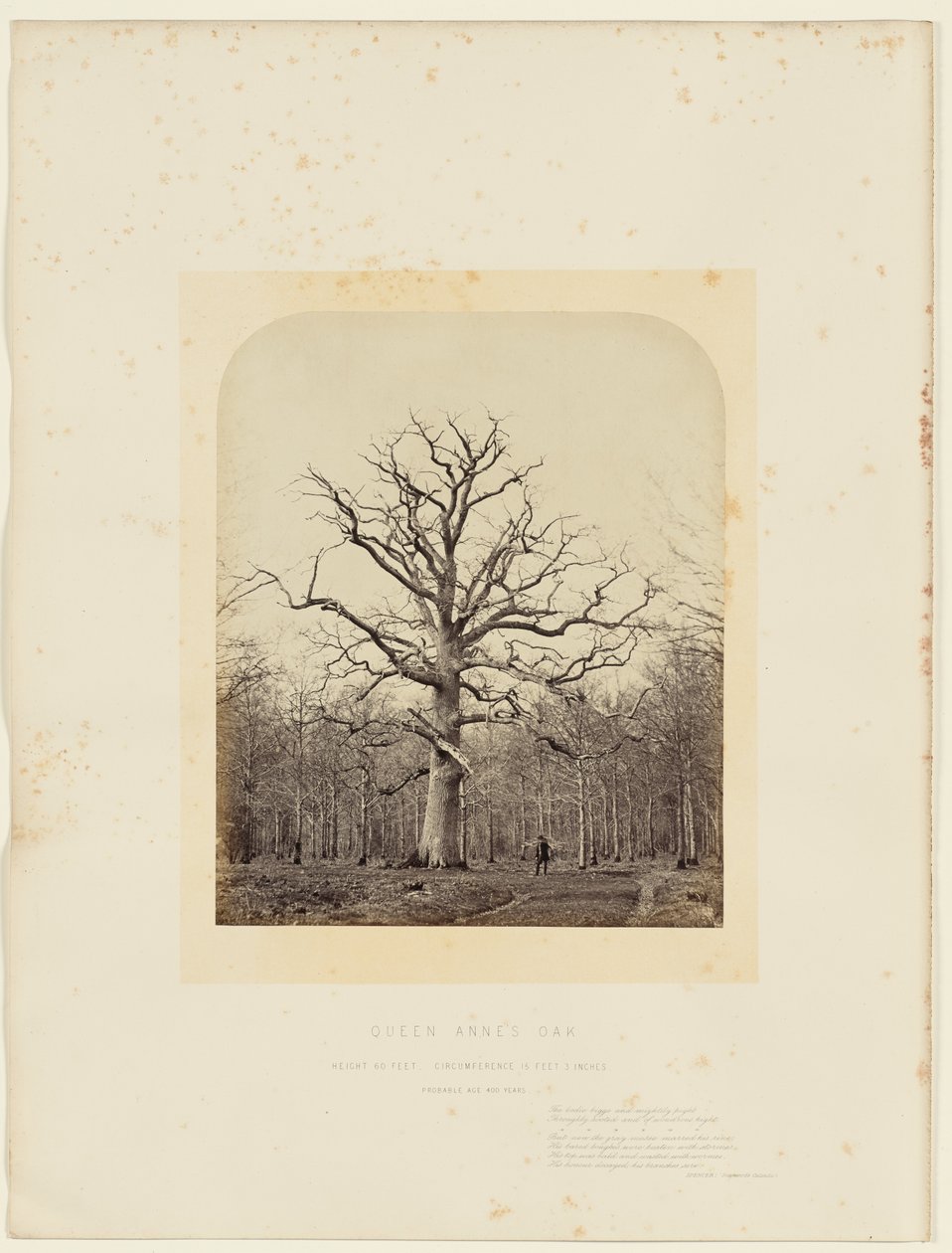  by 14th Earl of Caithness James Sinclair