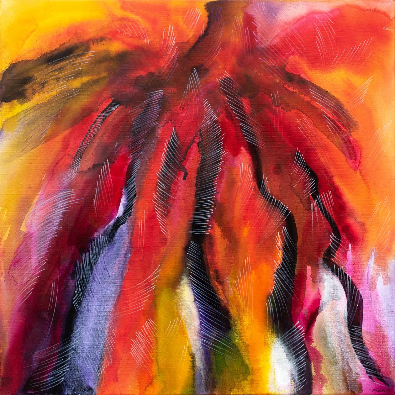  by H.Opitz