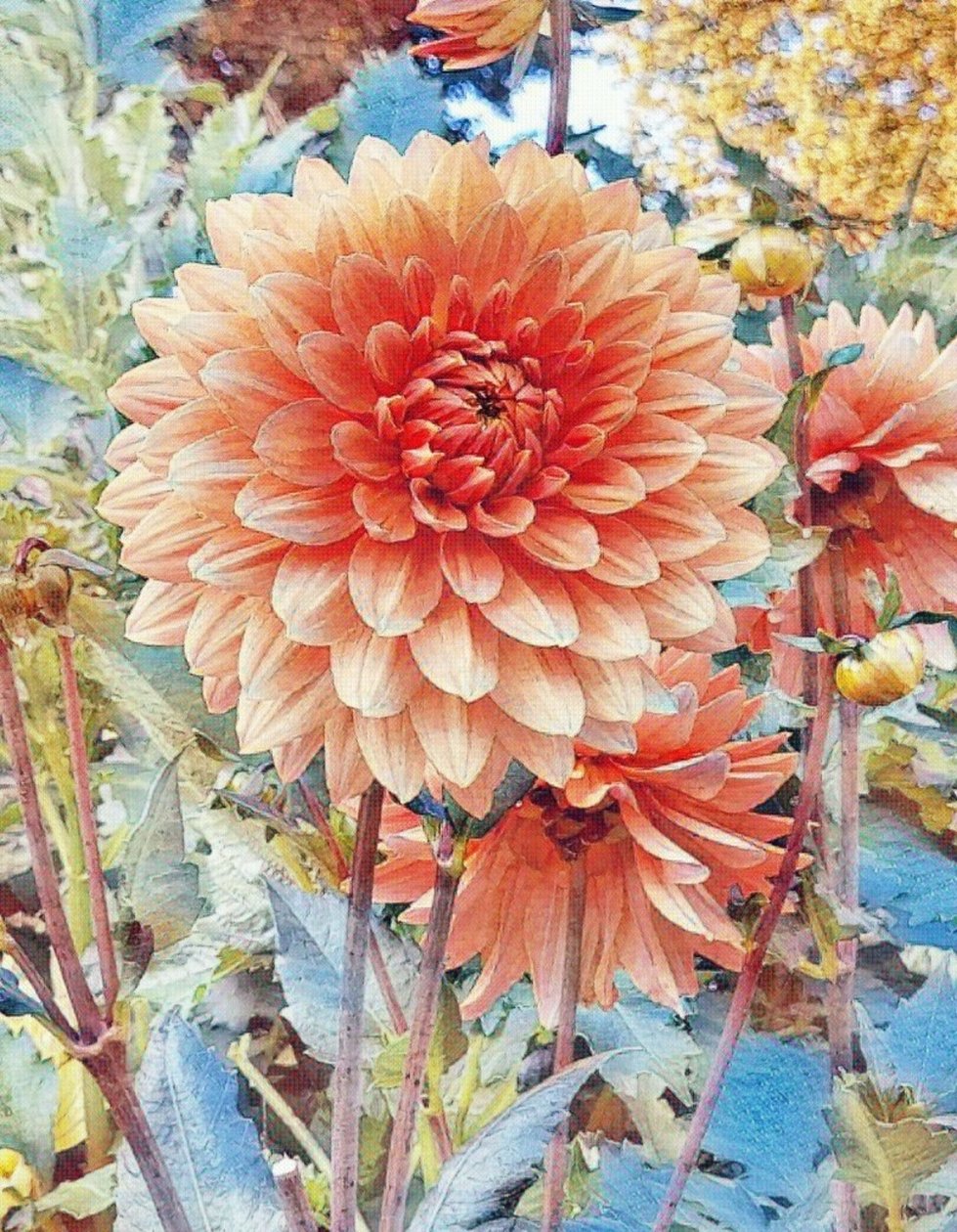  by Margareta Uliarte