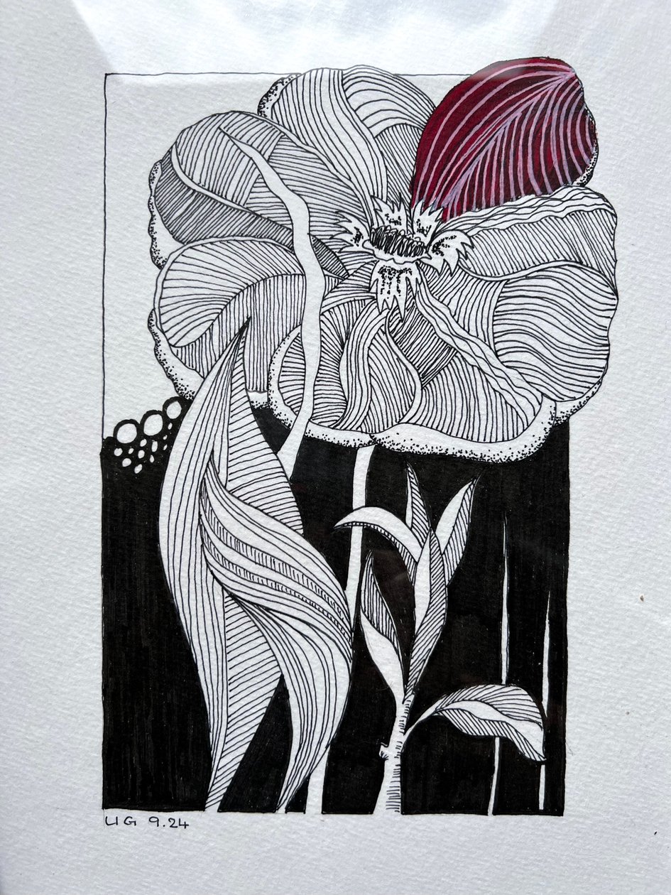  by Urs Grünenfelder