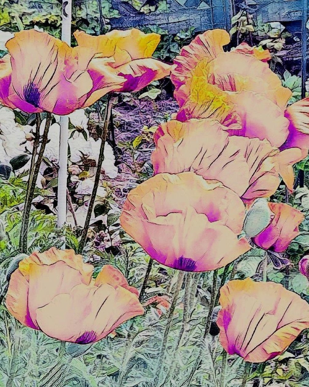  by Margareta Uliarte