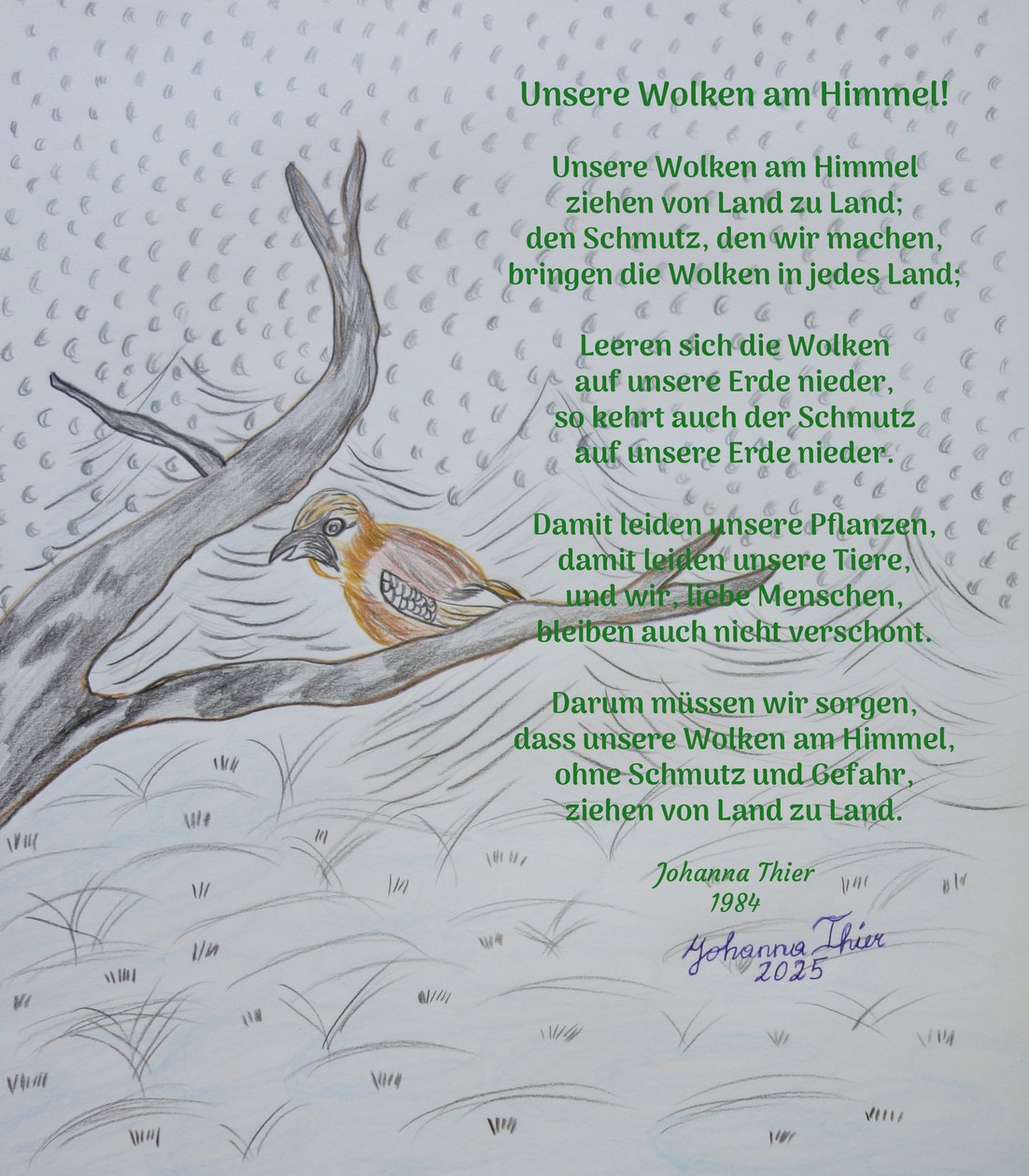  by Johanna Thier